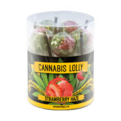 Lecca Lecca Cannabis Box gusto Mango Kush (100pezzi/display)