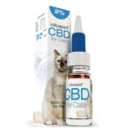 Cibdol Olio di CBD per gatti  2% (10ml)