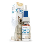 Cibdol Olio di CBD per gatti  4% (10ml)