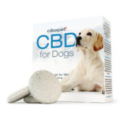 Cibdol Compresse di CBD per cani Cibdol con 176 mg di CBD