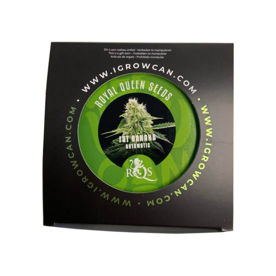 Royal Queen Seeds IGrowCan Kit di Coltivazione Fat Banana