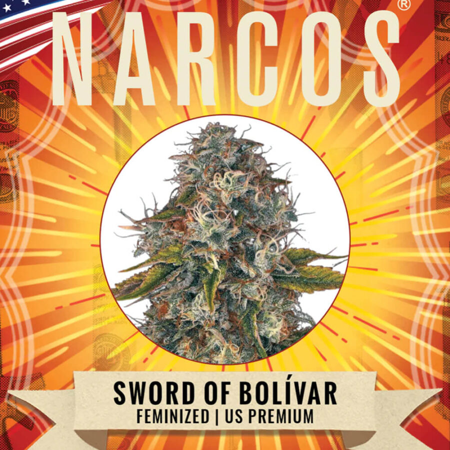 Narcos Sword of Boliávar Femminizzati (confezione 5 semi)