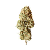 Royal Queen Seeds Royal AK Auto semi di cannabis autofiorenti (confezione 5 semi)