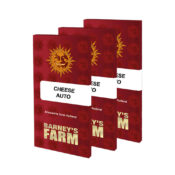 Barney's Farm Cheese Auto semi di cannabis autofiorenti (confezione 5 semi)