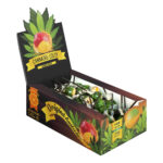 Lecca Lecca Cannabis Box Mango Kush (70pezzi/display)