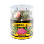 Cannabis Lecca Lecca Bubblegum Flavour Giftbox 10 Pezzi (12confezioni/masterbox)