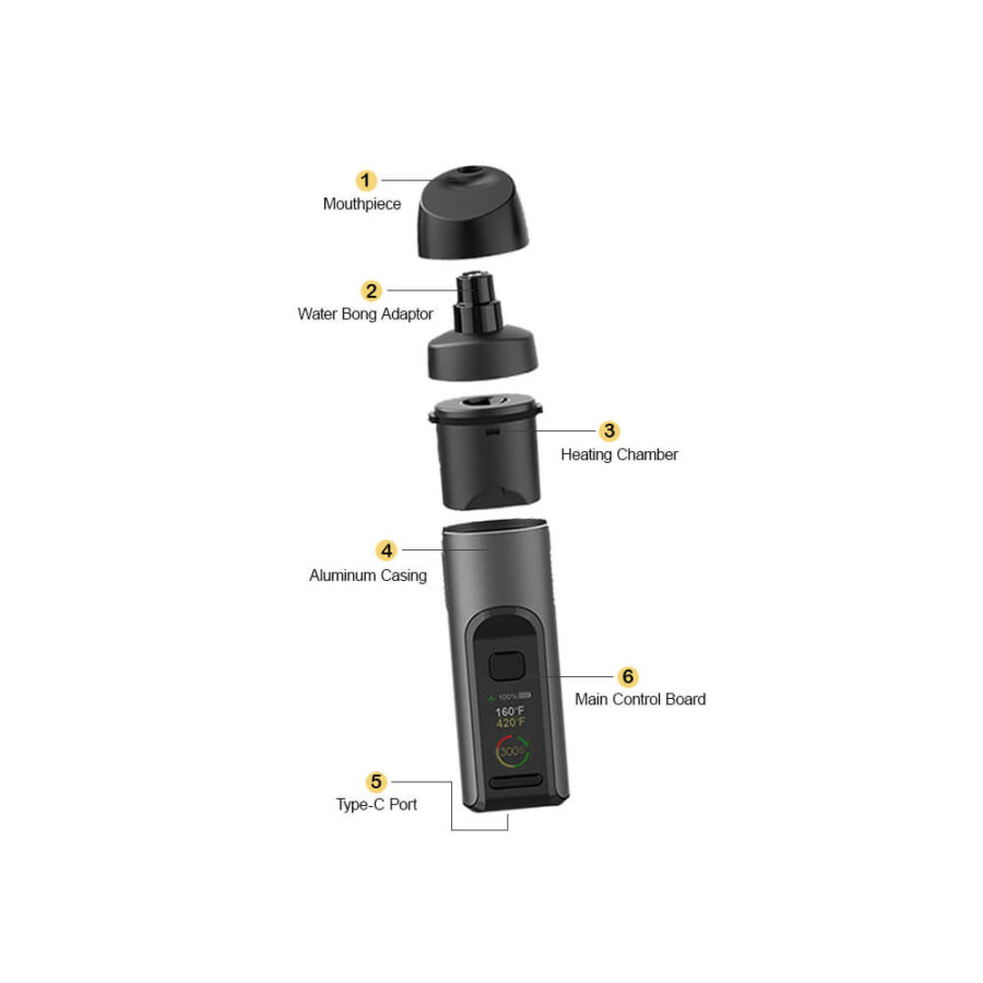 Flowermate Stylo 2-in-1 Vaporizzatore per Erbe Secche e Concentrati Kit Completo Nero