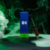 Pasta PHIX Pharma hemp 5 ml all'ingrosso-2