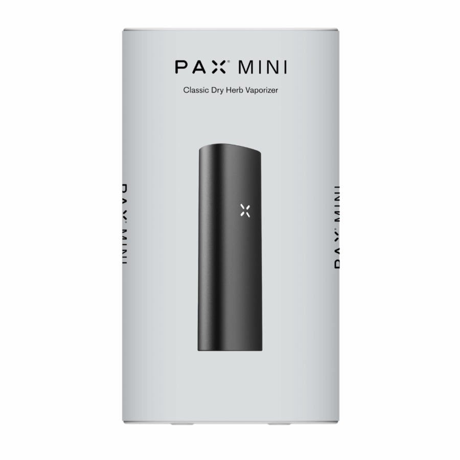 pax mini onyx 4