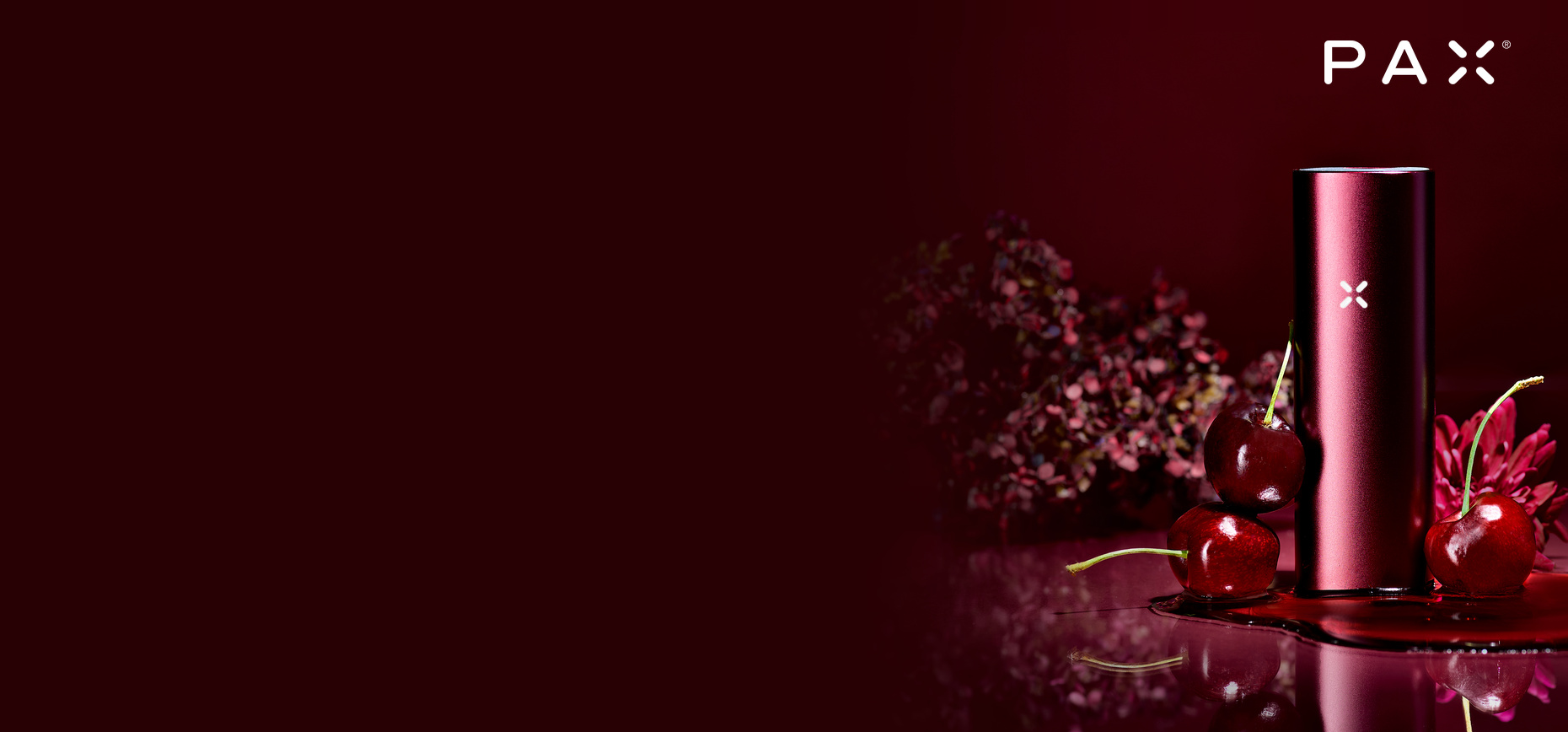 PAX Oxblood homepage banner